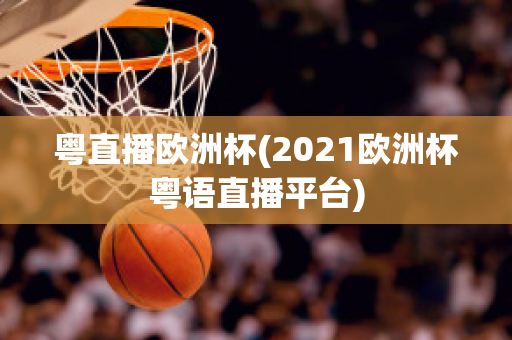 粤直播欧洲杯(2021欧洲杯粤语直播平台)