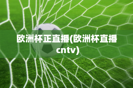 欧洲杯正直播(欧洲杯直播 cntv)