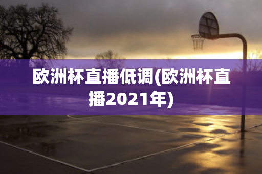 欧洲杯直播低调(欧洲杯直播2021年)