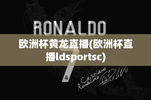 欧洲杯黄龙直播(欧洲杯直播ldsportsc)