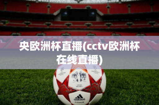 央欧洲杯直播(cctv欧洲杯在线直播)