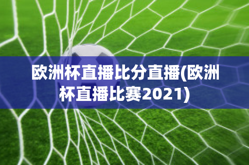 欧洲杯直播比分直播(欧洲杯直播比赛2021)