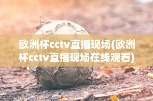 欧洲杯cctv直播现场(欧洲杯cctv直播现场在线观看)