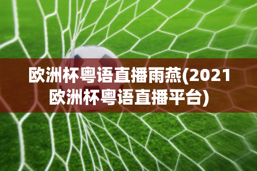 欧洲杯粤语直播雨燕(2021欧洲杯粤语直播平台)