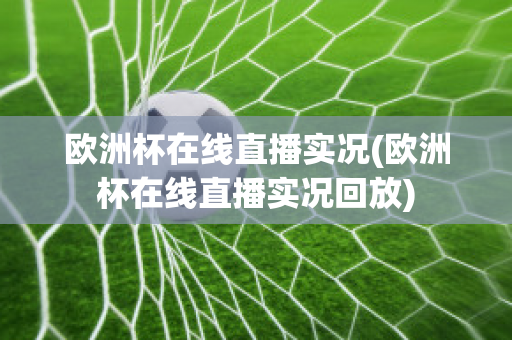 欧洲杯在线直播实况(欧洲杯在线直播实况回放)