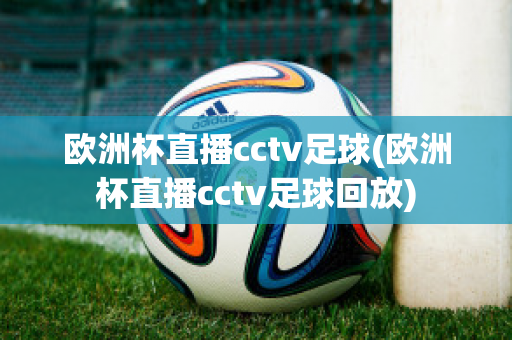 欧洲杯直播cctv足球(欧洲杯直播cctv足球回放)