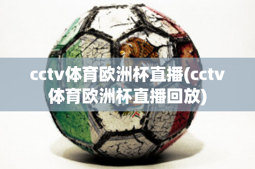 cctv体育欧洲杯直播(cctv体育欧洲杯直播回放)