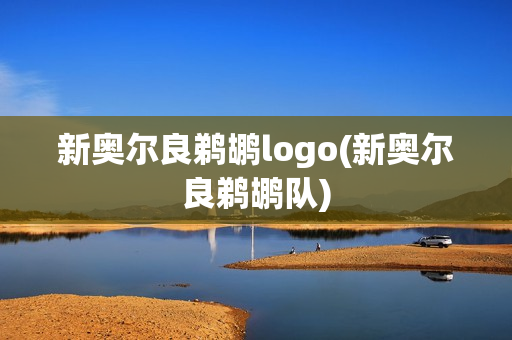 新奥尔良鹈鹕logo(新奥尔良鹈鹕队)