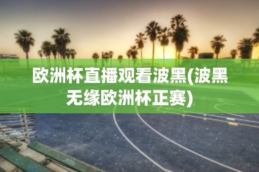 欧洲杯直播观看波黑(波黑无缘欧洲杯正赛)