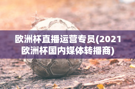 欧洲杯直播运营专员(2021欧洲杯国内媒体转播商)