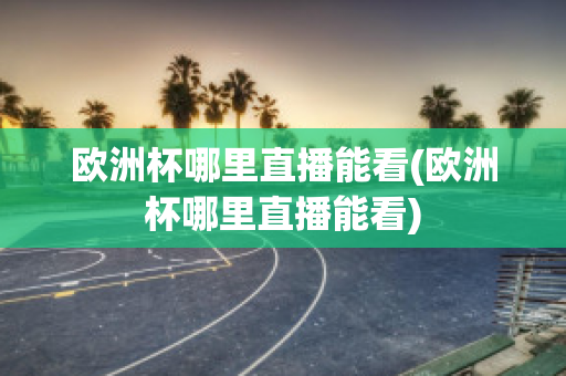 欧洲杯哪里直播能看(欧洲杯哪里直播能看)