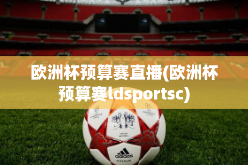 欧洲杯预算赛直播(欧洲杯预算赛ldsportsc)