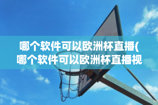 哪个软件可以欧洲杯直播(哪个软件可以欧洲杯直播视频)