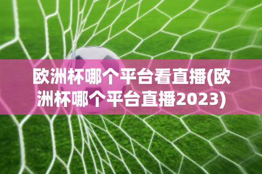 欧洲杯哪个平台看直播(欧洲杯哪个平台直播2023)