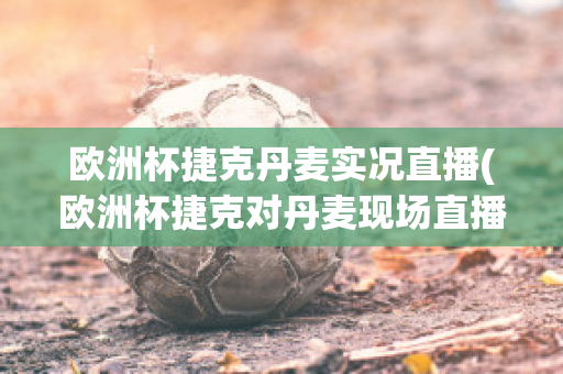 欧洲杯捷克丹麦实况直播(欧洲杯捷克对丹麦现场直播)