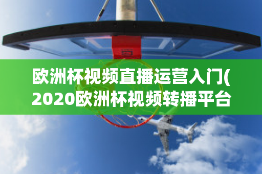 欧洲杯视频直播运营入门(2020欧洲杯视频转播平台)