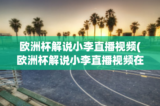 欧洲杯解说小李直播视频(欧洲杯解说小李直播视频在线观看)