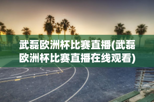 武磊欧洲杯比赛直播(武磊欧洲杯比赛直播在线观看)