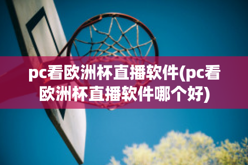 pc看欧洲杯直播软件(pc看欧洲杯直播软件哪个好)