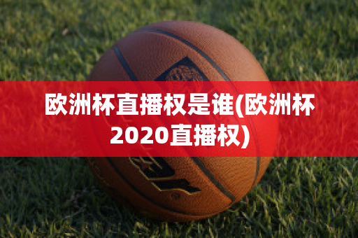 欧洲杯直播权是谁(欧洲杯2020直播权)