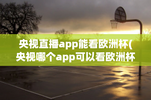 央视直播app能看欧洲杯(央视哪个app可以看欧洲杯)