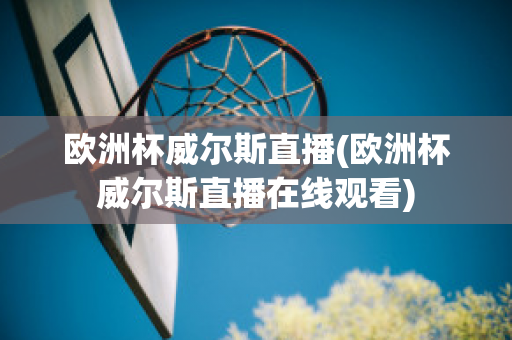 欧洲杯威尔斯直播(欧洲杯威尔斯直播在线观看)