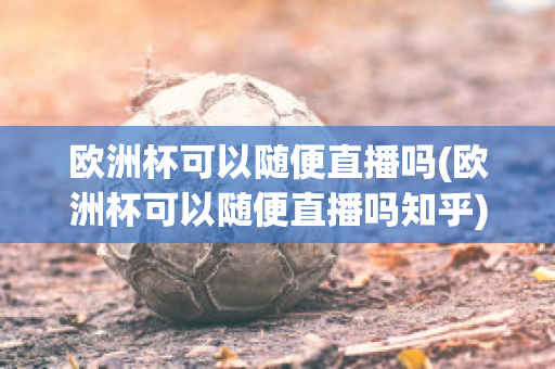 欧洲杯可以随便直播吗(欧洲杯可以随便直播吗知乎)