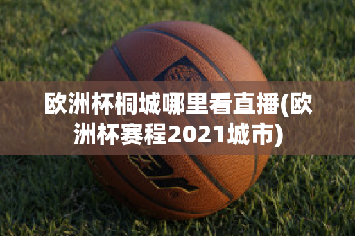 欧洲杯桐城哪里看直播(欧洲杯赛程2021城市)