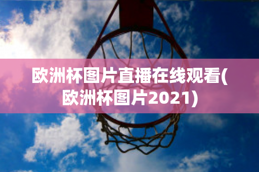 欧洲杯图片直播在线观看(欧洲杯图片2021)