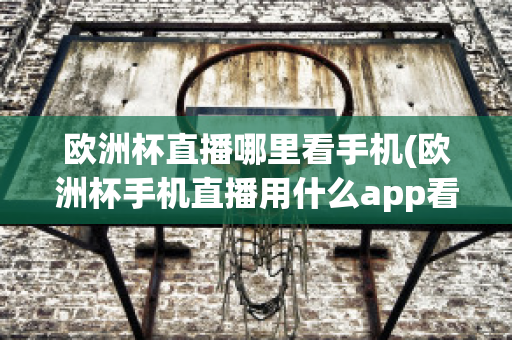 欧洲杯直播哪里看手机(欧洲杯手机直播用什么app看)