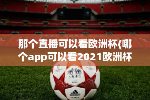 那个直播可以看欧洲杯(哪个app可以看2021欧洲杯直播)