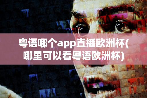 粤语哪个app直播欧洲杯(哪里可以看粤语欧洲杯)