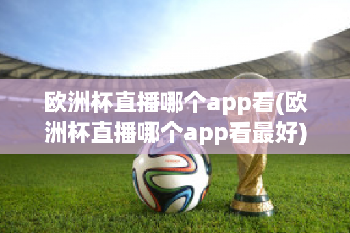 欧洲杯直播哪个app看(欧洲杯直播哪个app看最好)