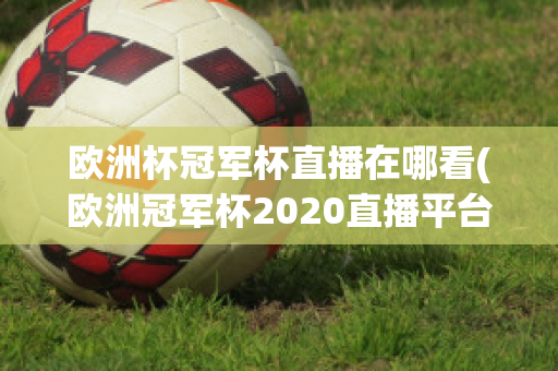 欧洲杯冠军杯直播在哪看(欧洲冠军杯2020直播平台)