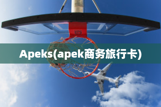 Apeks(apek商务旅行卡)