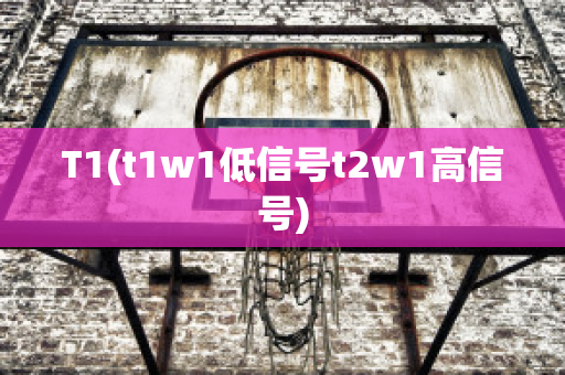 T1(t1w1低信号t2w1高信号)