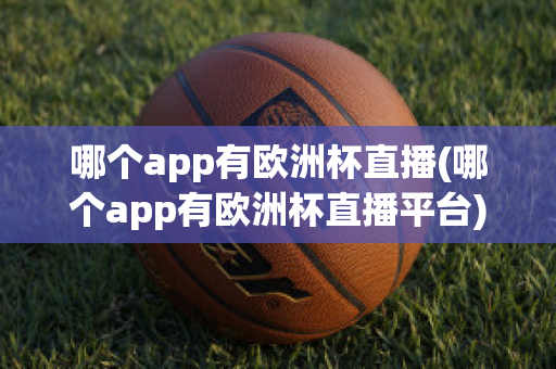 哪个app有欧洲杯直播(哪个app有欧洲杯直播平台)