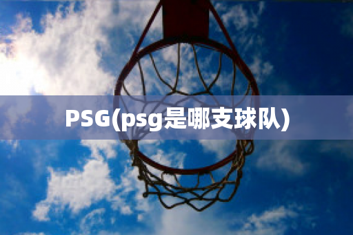 PSG(psg是哪支球队)