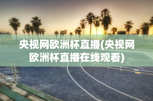 央视网欧洲杯直播(央视网欧洲杯直播在线观看)