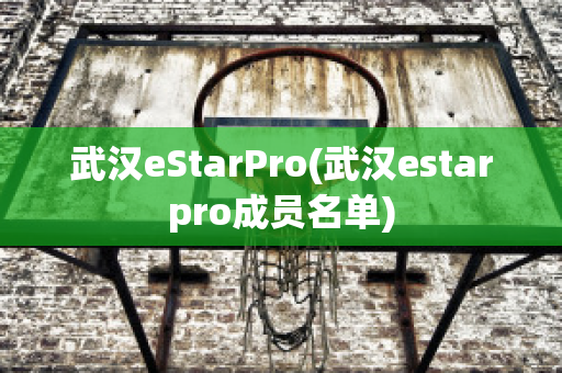 武汉eStarPro(武汉estarpro成员名单)