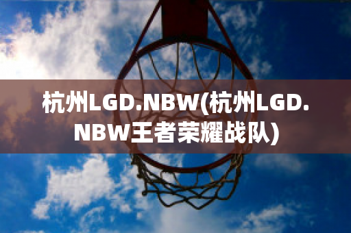 杭州LGD.NBW(杭州LGD.NBW王者荣耀战队)