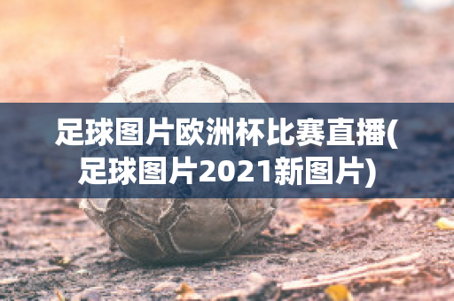 足球图片欧洲杯比赛直播(足球图片2021新图片)