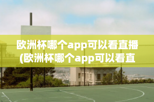 欧洲杯哪个app可以看直播(欧洲杯哪个app可以看直播回放)