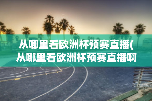 从哪里看欧洲杯预赛直播(从哪里看欧洲杯预赛直播啊)