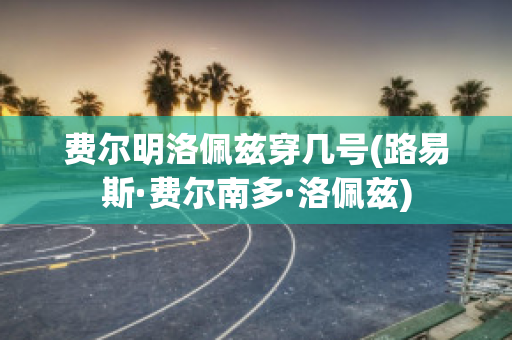 费尔明洛佩兹穿几号(路易斯·费尔南多·洛佩兹)