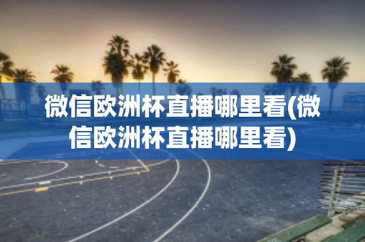 微信欧洲杯直播哪里看(微信欧洲杯直播哪里看)