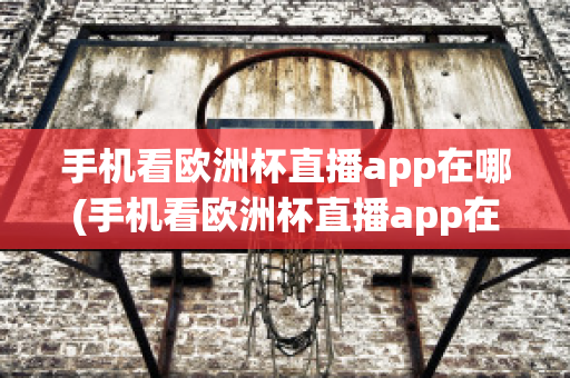 手机看欧洲杯直播app在哪(手机看欧洲杯直播app在哪看)