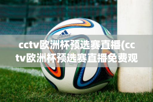 cctv欧洲杯预选赛直播(cctv欧洲杯预选赛直播免费观看)