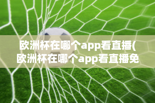 欧洲杯在哪个app看直播(欧洲杯在哪个app看直播免费)