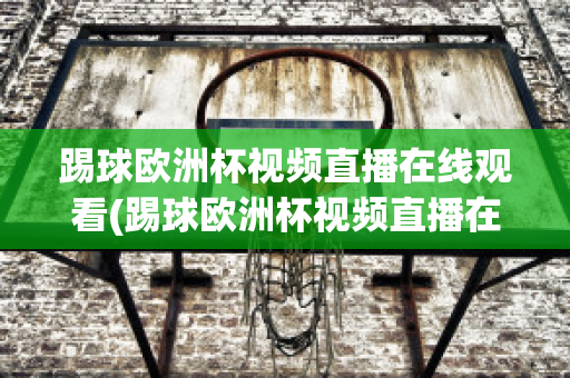 踢球欧洲杯视频直播在线观看(踢球欧洲杯视频直播在线观看高清)